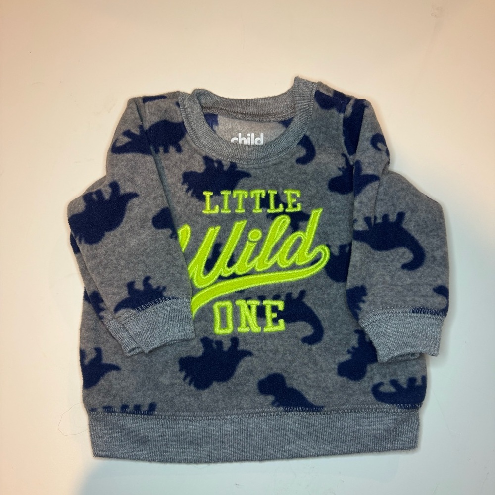 Child of Mine Gray and Blue Dinosaur Sweatshirt